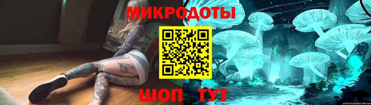 Псилоцибиновые грибы Cubensis Владикавказ