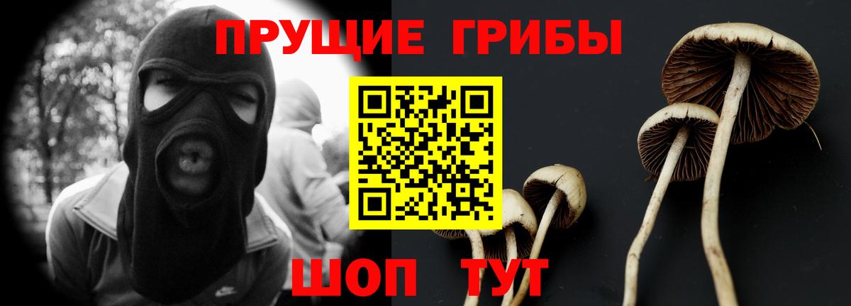 Псилоцибиновые грибы мицелий  Псилоцибиновые грибы мицелий  Владикавказ  Вход с VPN 